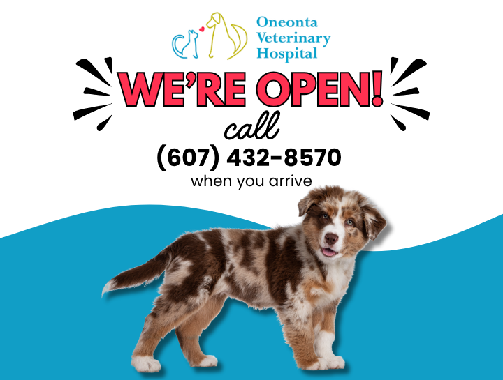 Important Update Regarding Oneonta Veterinary Hospital